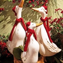 15&21(2) DUCK FAMILYX3