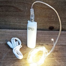 10FT FAIRY LIGHT W/CHARGER