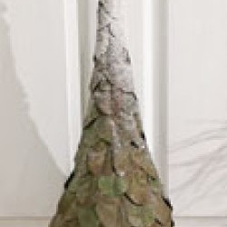 9X38 TALL EUCALYPTUS TREE